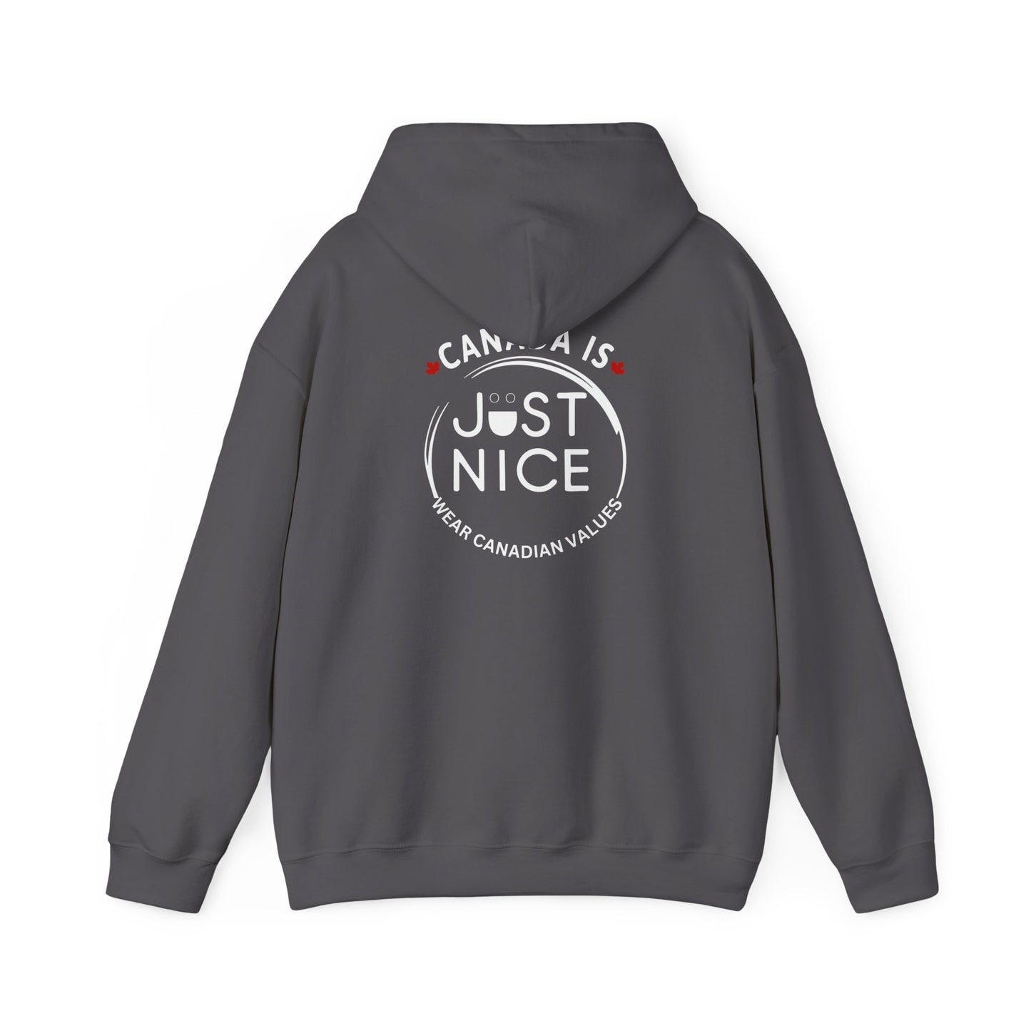 Canada Is Just Nice Hooded Sweatshirt | Unisex Cozy Pullover