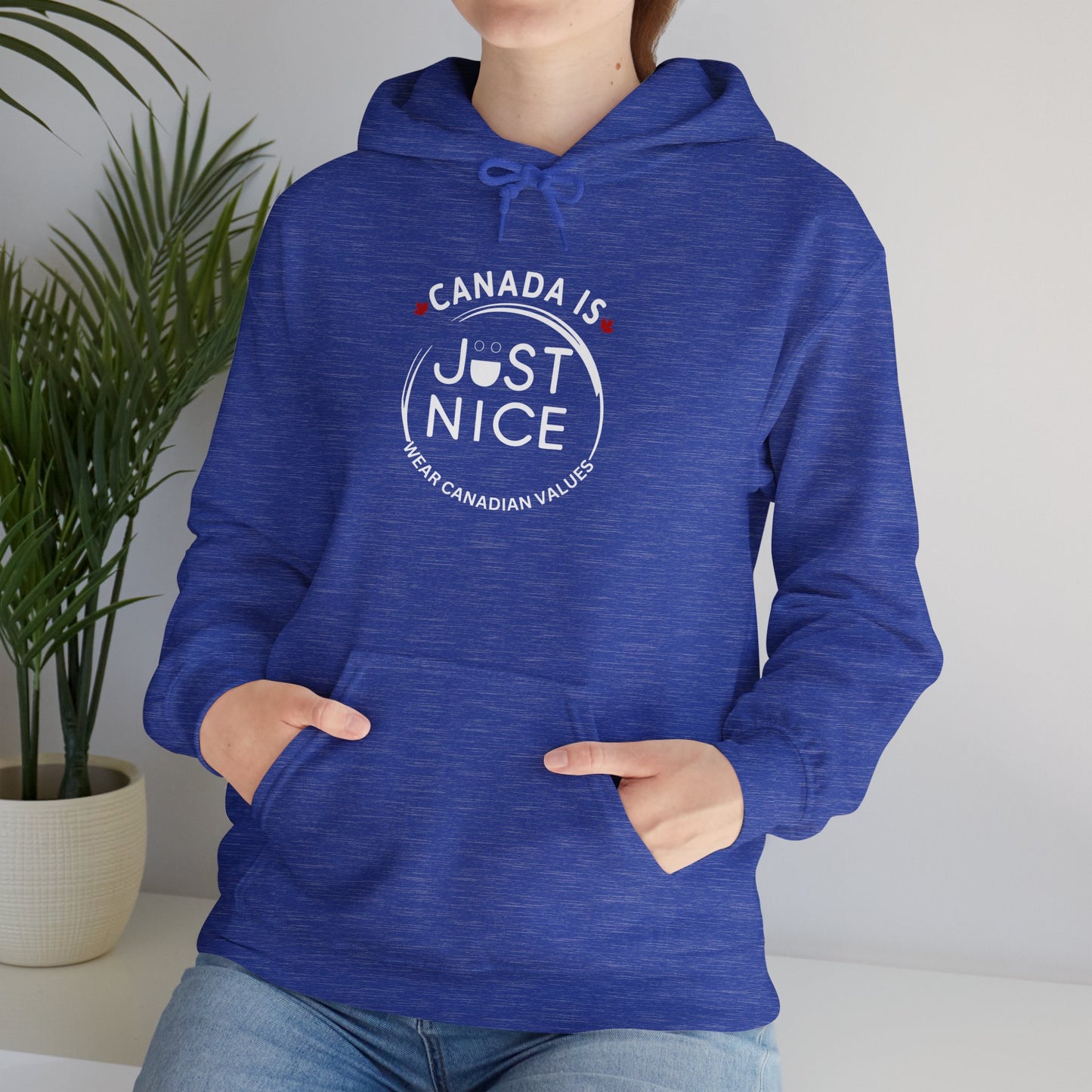 Canada Is Just Nice Hooded Sweatshirt | Unisex Cozy Pullover