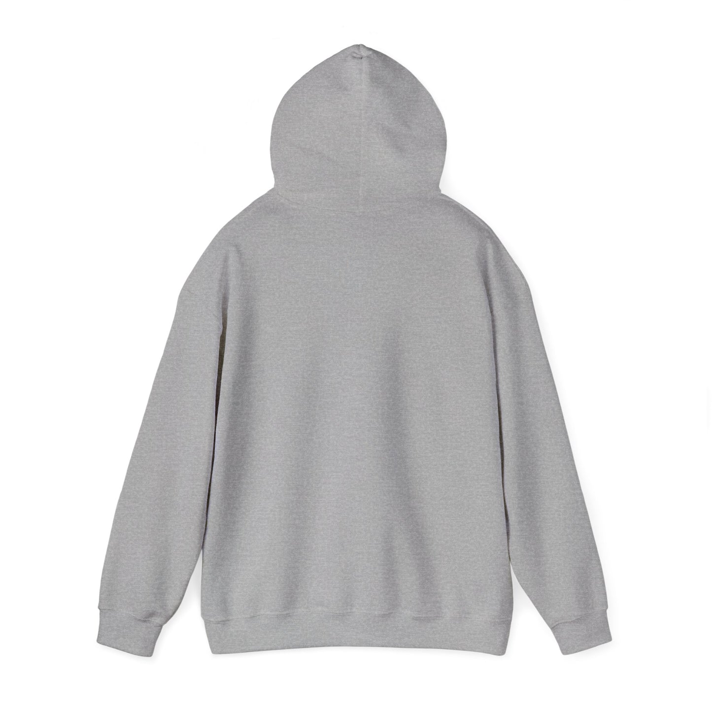 Cozy Canada Sweatshirt | Just Nice Hoodie | Unisex Pullover for Canadians | Gift for Friends | Perfect for Winter & Travel