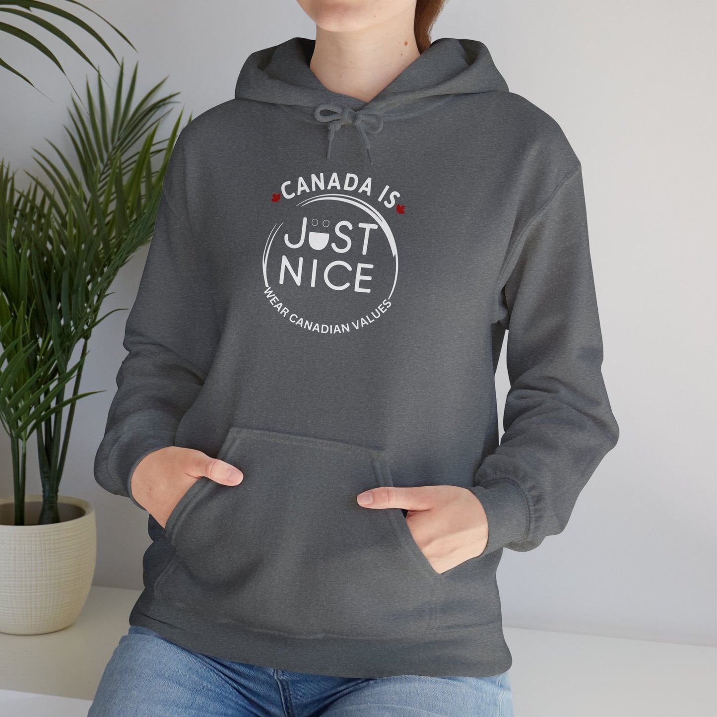 Canada Is Just Nice Hoodie - Unisex Heavy Blend™ Sweatshirt with Maple Leaf Design