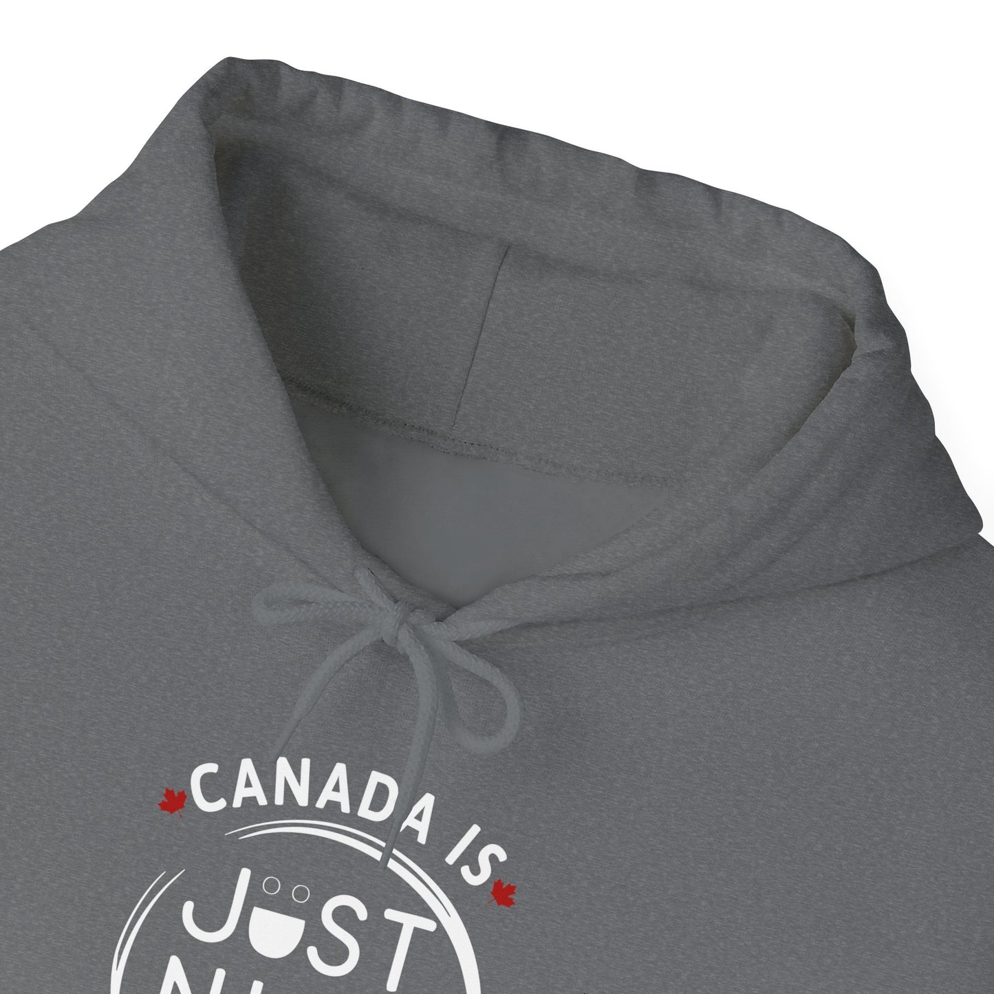 Canada Is Just Nice Hoodie - Unisex Heavy Blend™ Sweatshirt with Maple Leaf Design