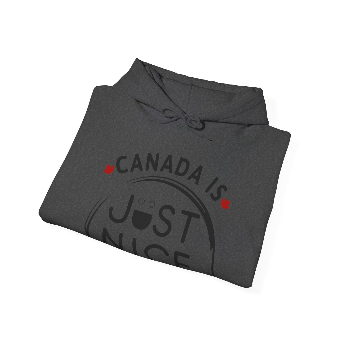 Cozy Canada Sweatshirt | Just Nice Hoodie | Unisex Pullover for Canadians | Gift for Friends | Perfect for Winter & Travel