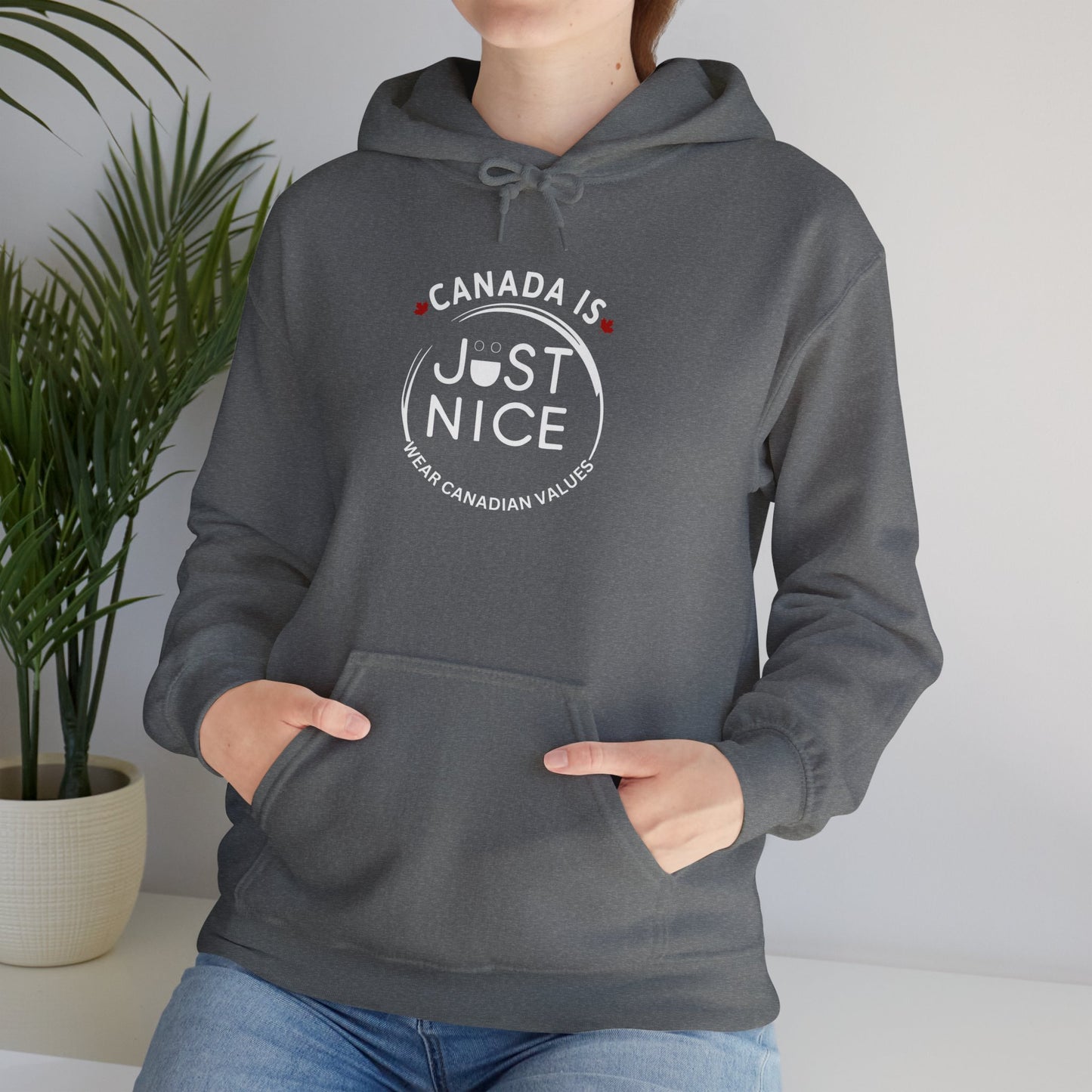 Canada Is Just Nice Hooded Sweatshirt | Unisex Cozy Pullover