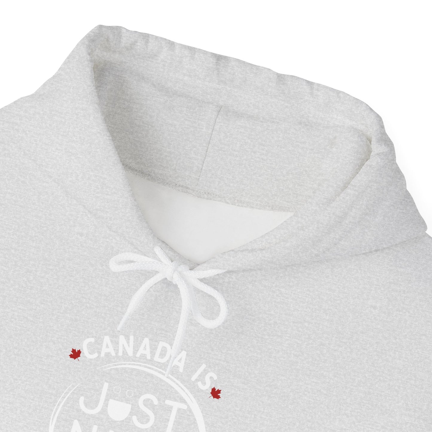 Canada Is Just Nice Hooded Sweatshirt | Unisex Cozy Pullover