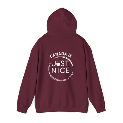 Colorful Sunset Graphic Hoodie, Cozy Sweatshirt for Outdoor Lovers, Unisex Gift, Casual Wear, Vacation Essentials