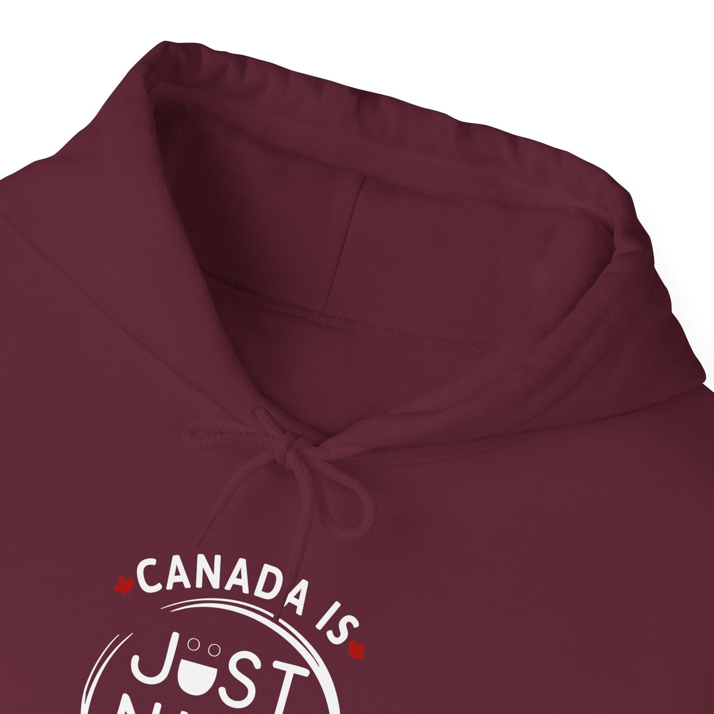 Canada Is Just Nice Hooded Sweatshirt | Unisex Cozy Pullover