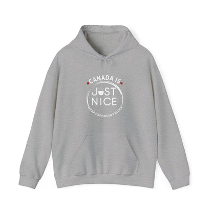 Colorful Sunset Graphic Hoodie, Cozy Sweatshirt for Outdoor Lovers, Unisex Gift, Casual Wear, Vacation Essentials