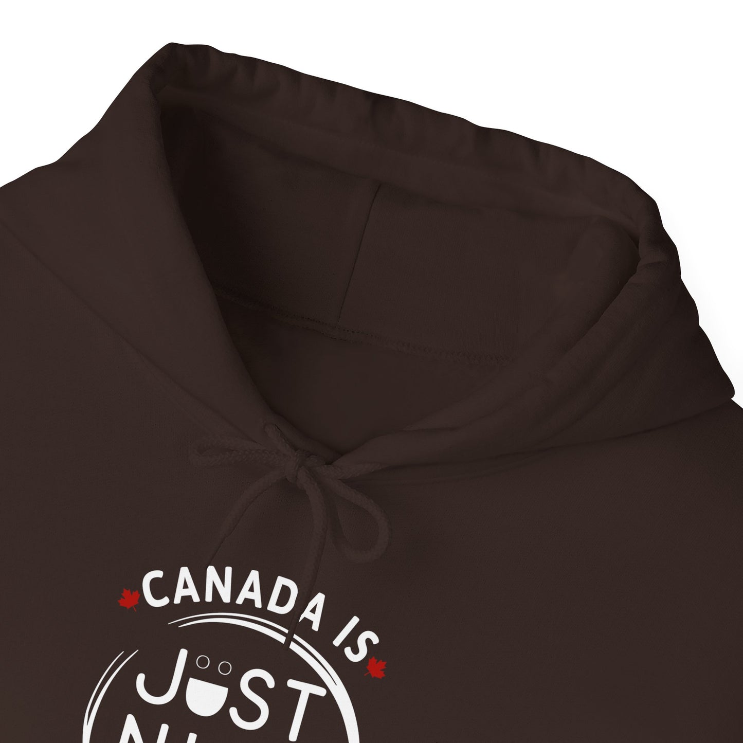 Canada Is Just Nice Hoodie - Unisex Heavy Blend™ Sweatshirt with Maple Leaf Design