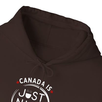 Canada Is Just Nice Hoodie - Unisex Heavy Blend™ Sweatshirt with Maple Leaf Design