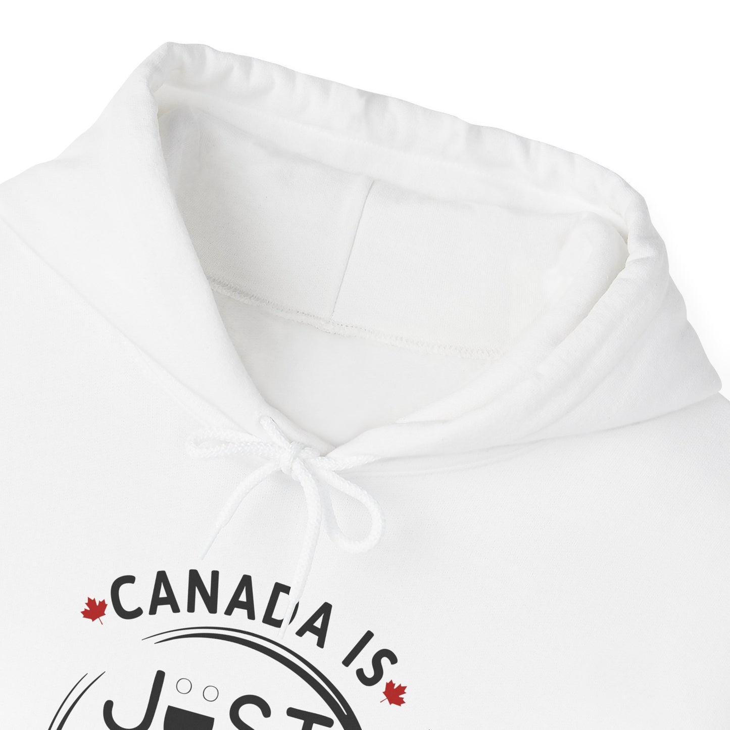 Canada Is Just Nice Hoodie - Unisex Heavy Blend™ Sweatshirt with Maple Leaf Design