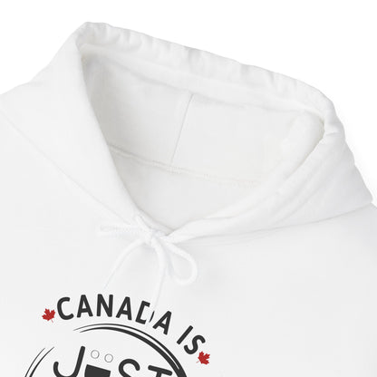 Canada Is Just Nice Hoodie - Unisex Heavy Blend™ Sweatshirt with Maple Leaf Design