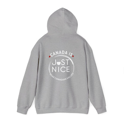 Colorful Sunset Graphic Hoodie, Cozy Sweatshirt for Outdoor Lovers, Unisex Gift, Casual Wear, Vacation Essentials