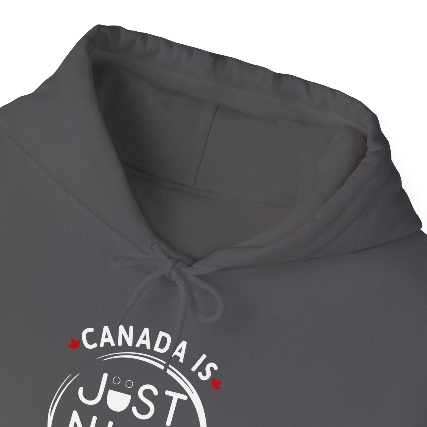 Canada Is Just Nice Hoodie - Unisex Heavy Blend™ Sweatshirt with Maple Leaf Design