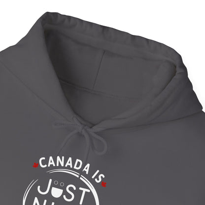 Canada Is Just Nice Hoodie - Unisex Heavy Blend™ Sweatshirt with Maple Leaf Design