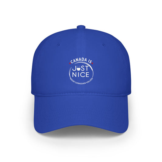 Stylish Low Profile Baseball Cap with 'Just Nice' Design, Casual Hat for Outdoor Lovers, Gift for Birthdays, Sports Cap, Trendy Headwear