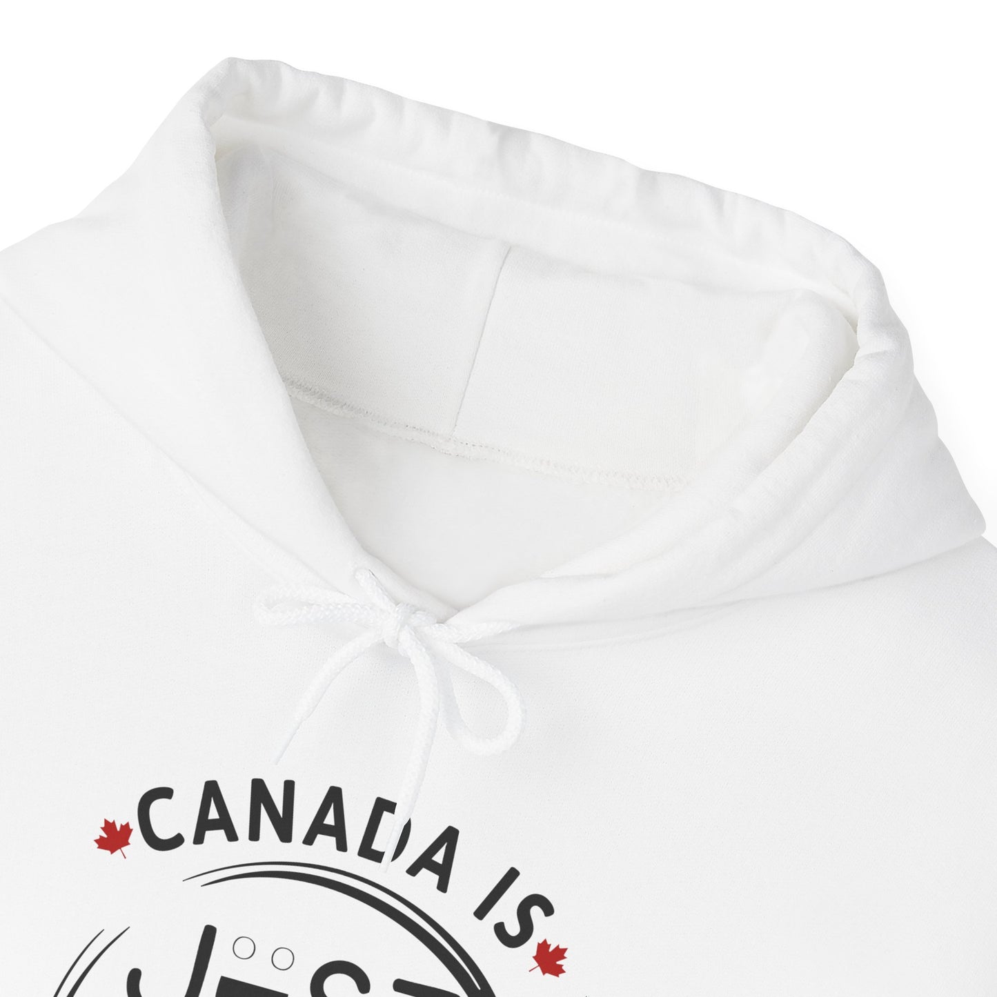 Canada Is Just Nice Hooded Sweatshirt | Unisex Cozy Pullover
