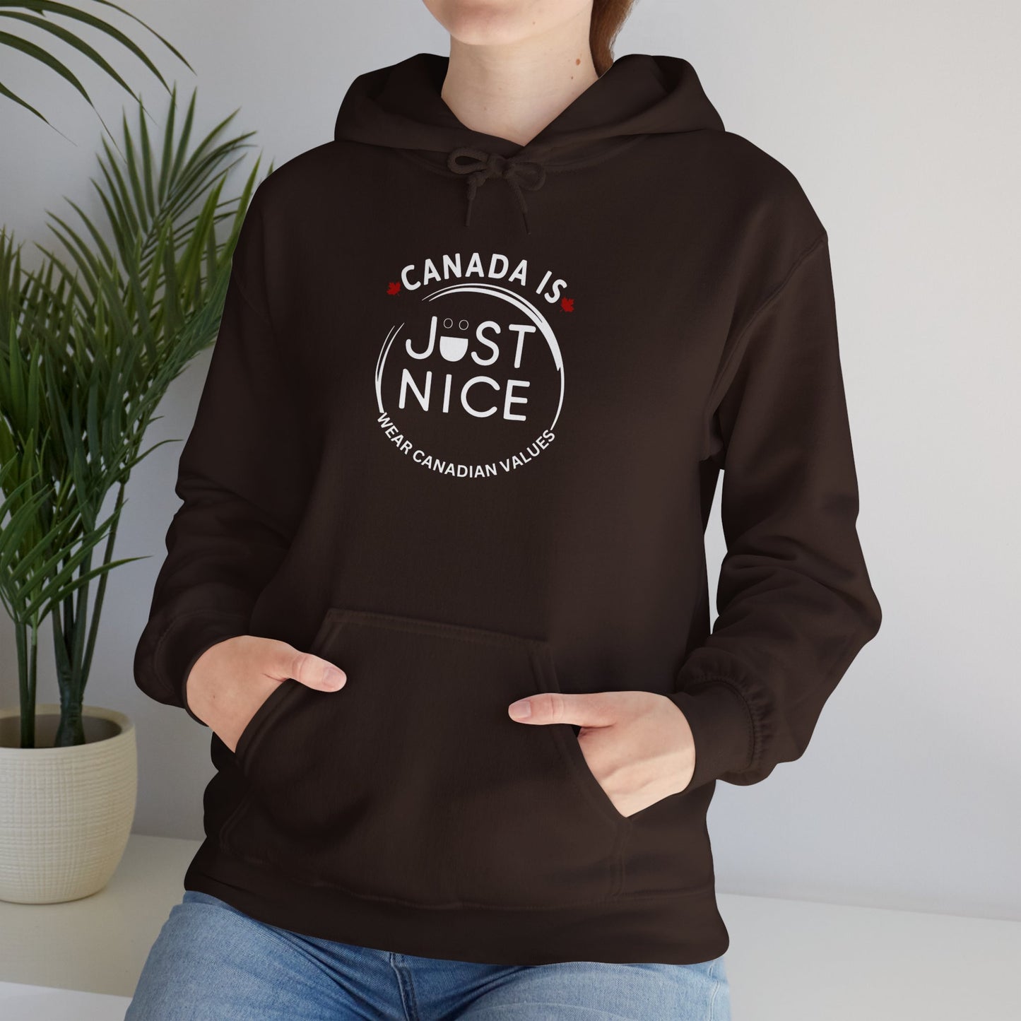 Canada Is Just Nice Hooded Sweatshirt | Unisex Cozy Pullover
