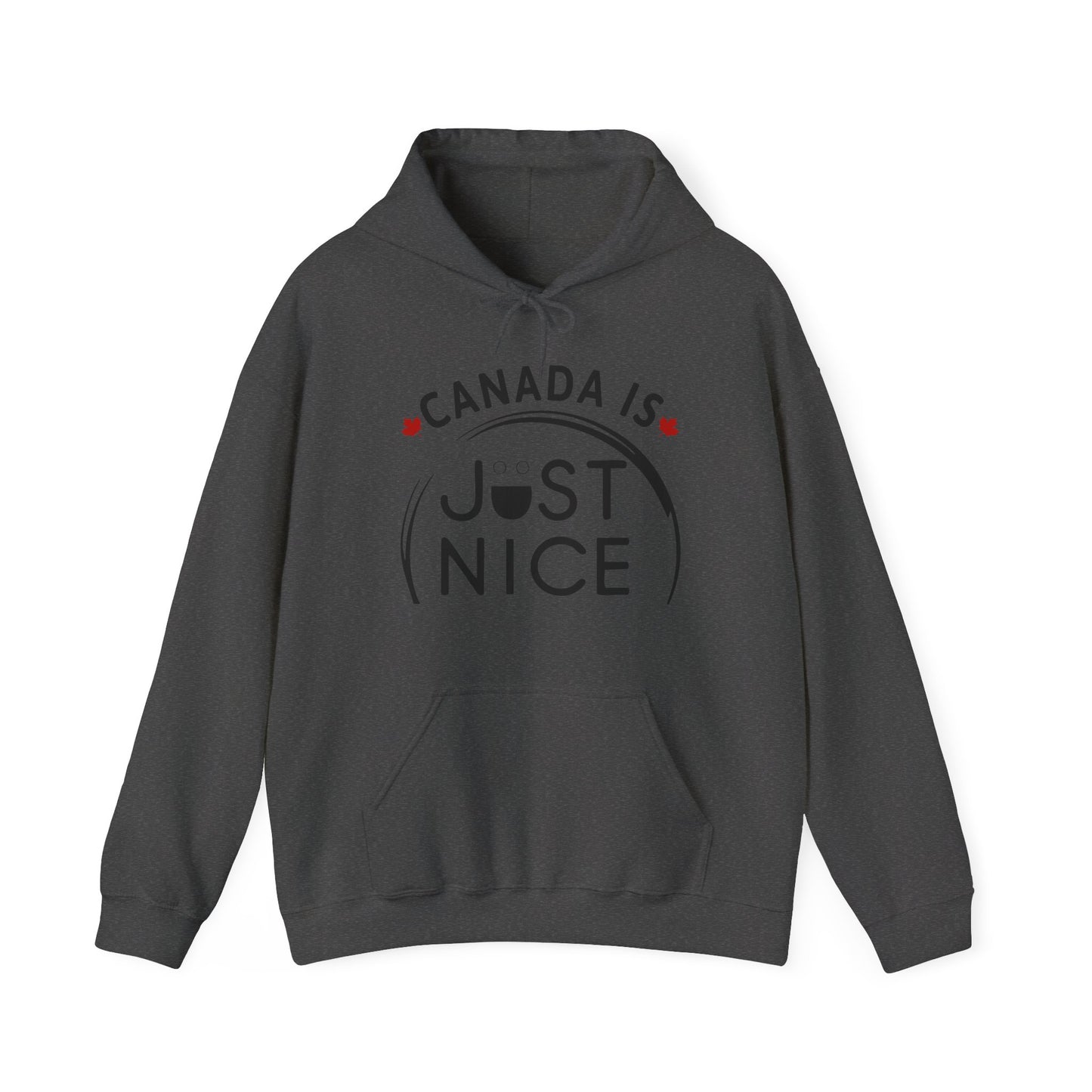 Cozy Canada Sweatshirt | Just Nice Hoodie | Unisex Pullover for Canadians | Gift for Friends | Perfect for Winter & Travel