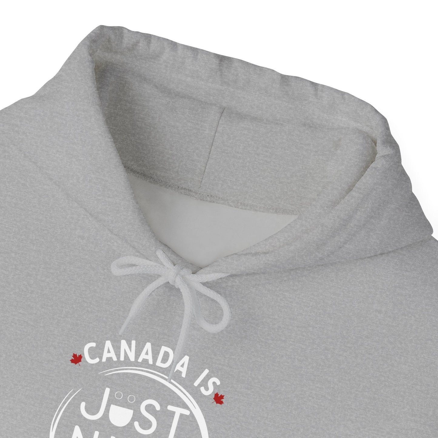 Canada Is Just Nice Hooded Sweatshirt | Unisex Cozy Pullover