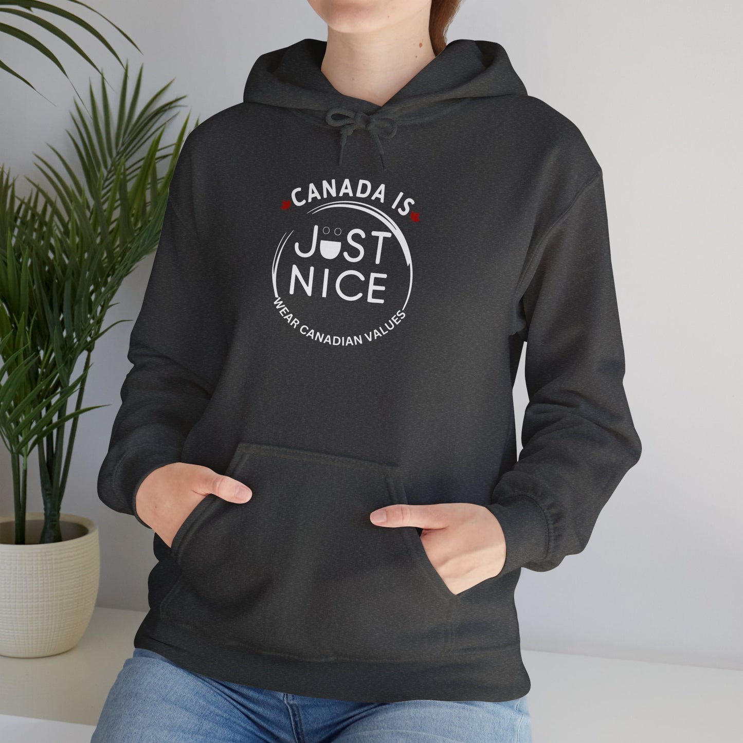 Canada Is Just Nice Hoodie - Unisex Heavy Blend™ Sweatshirt with Maple Leaf Design