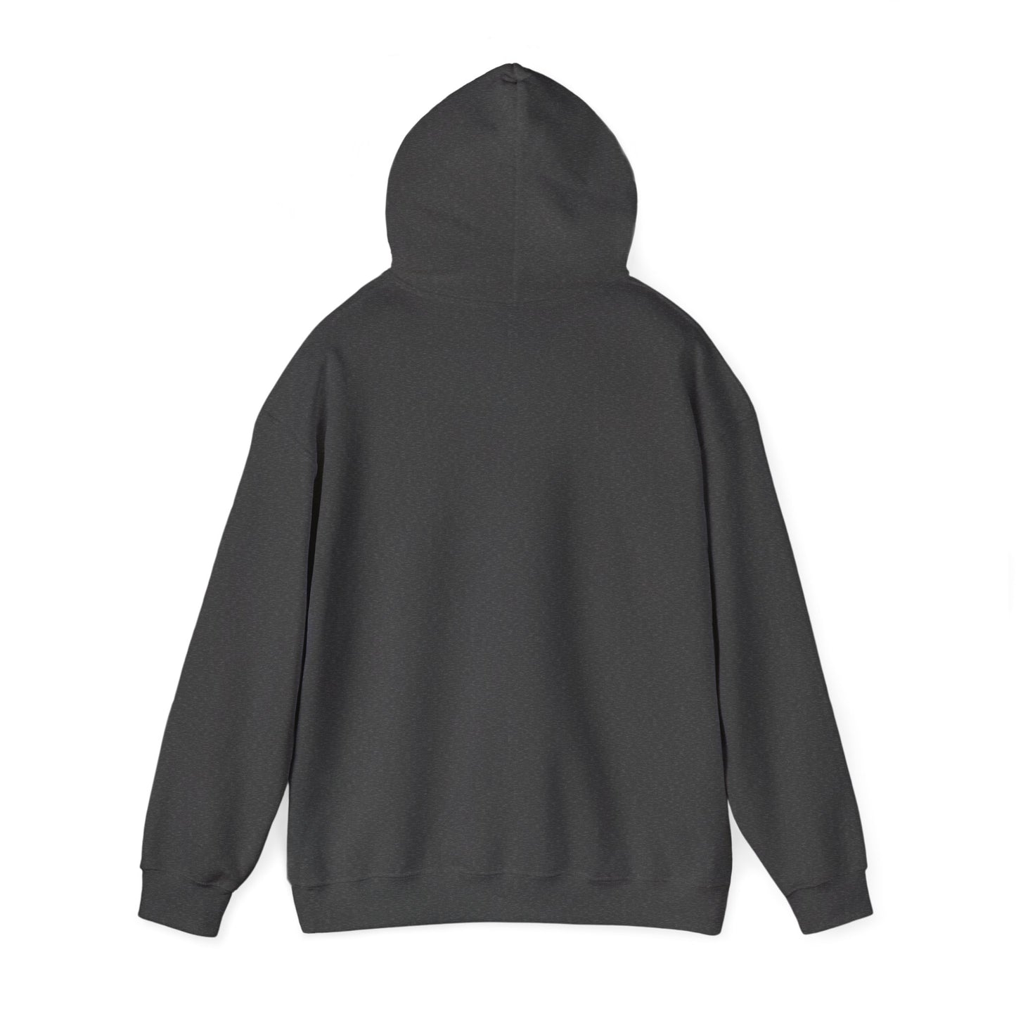 Cozy Canada Sweatshirt | Just Nice Hoodie | Unisex Pullover for Canadians | Gift for Friends | Perfect for Winter & Travel