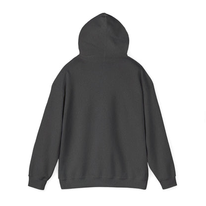 Cozy Canada Sweatshirt | Just Nice Hoodie | Unisex Pullover for Canadians | Gift for Friends | Perfect for Winter & Travel