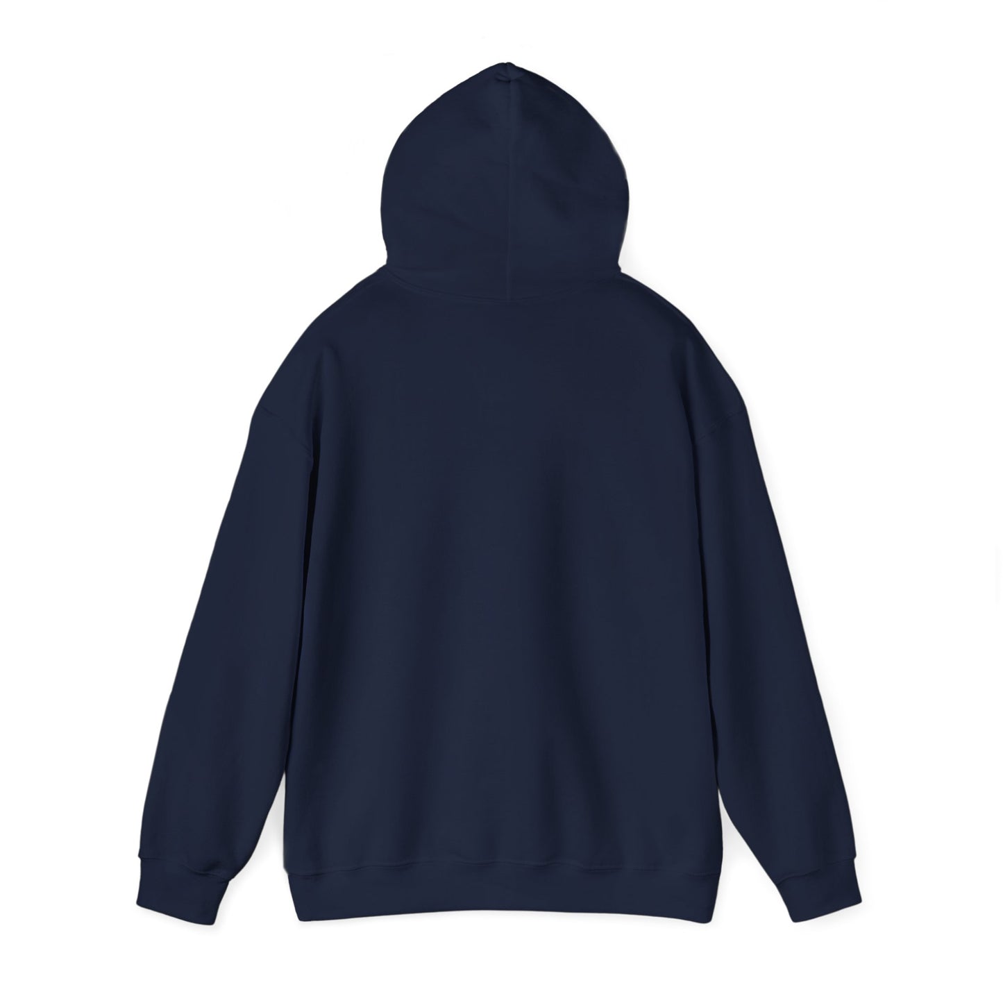 Cozy Canada Sweatshirt | Just Nice Hoodie | Unisex Pullover for Canadians | Gift for Friends | Perfect for Winter & Travel