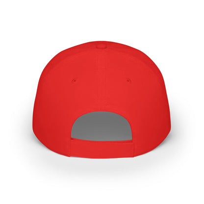 Stylish Low Profile Baseball Cap with 'Just Nice' Design, Casual Hat for Outdoor Lovers, Gift for Birthdays, Sports Cap, Trendy Headwear