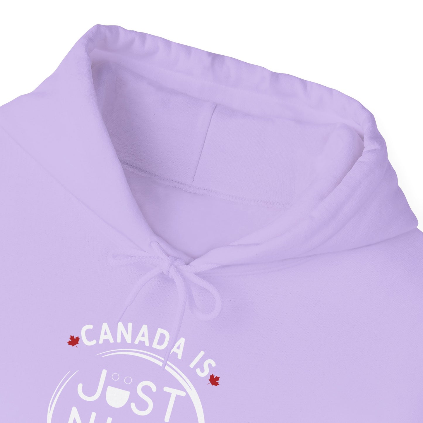 Canada Is Just Nice Hoodie - Unisex Heavy Blend™ Sweatshirt with Maple Leaf Design