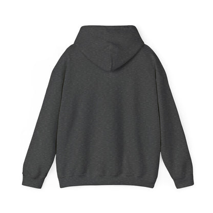 Cozy Canada Sweatshirt | Just Nice Hoodie | Unisex Pullover for Canadians | Gift for Friends | Perfect for Winter & Travel
