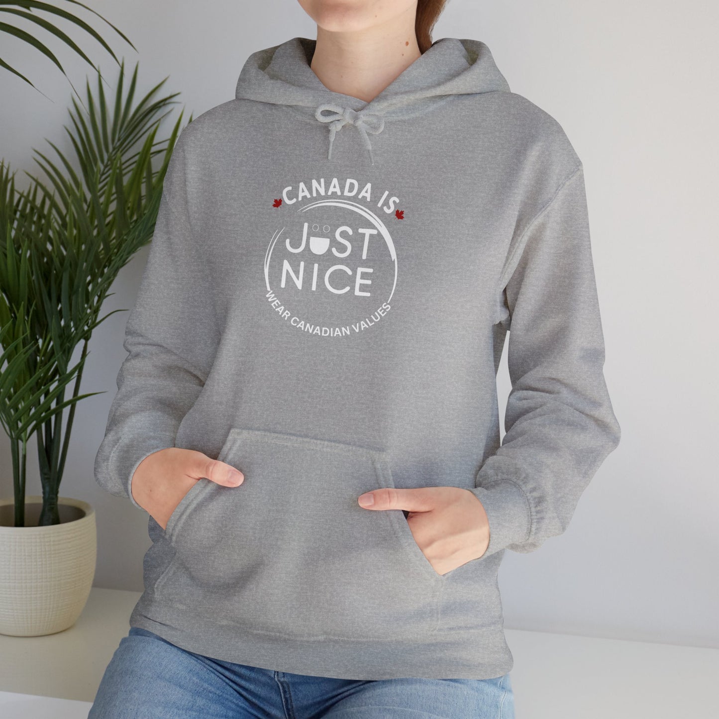 Canada Is Just Nice Hooded Sweatshirt | Unisex Cozy Pullover
