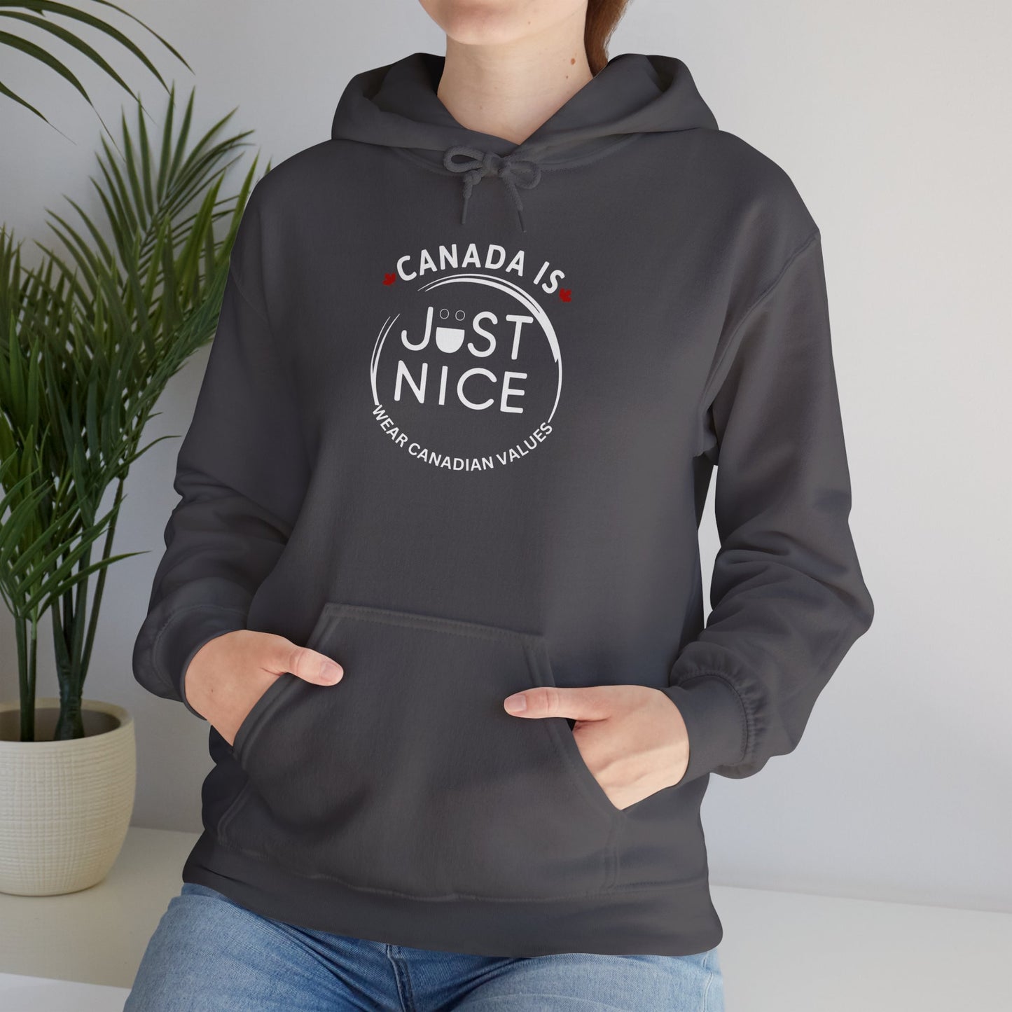 Canada Is Just Nice Hoodie - Unisex Heavy Blend™ Sweatshirt with Maple Leaf Design