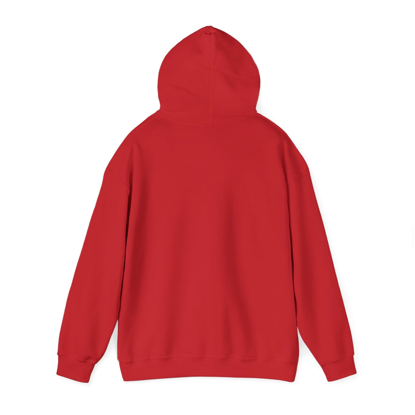 Cozy Canada Sweatshirt | Just Nice Hoodie | Unisex Pullover for Canadians | Gift for Friends | Perfect for Winter & Travel