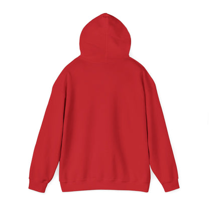 Cozy Canada Sweatshirt | Just Nice Hoodie | Unisex Pullover for Canadians | Gift for Friends | Perfect for Winter & Travel