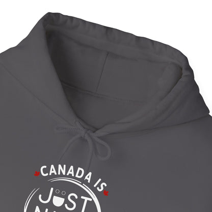 Canada Is Just Nice Hooded Sweatshirt | Unisex Cozy Pullover