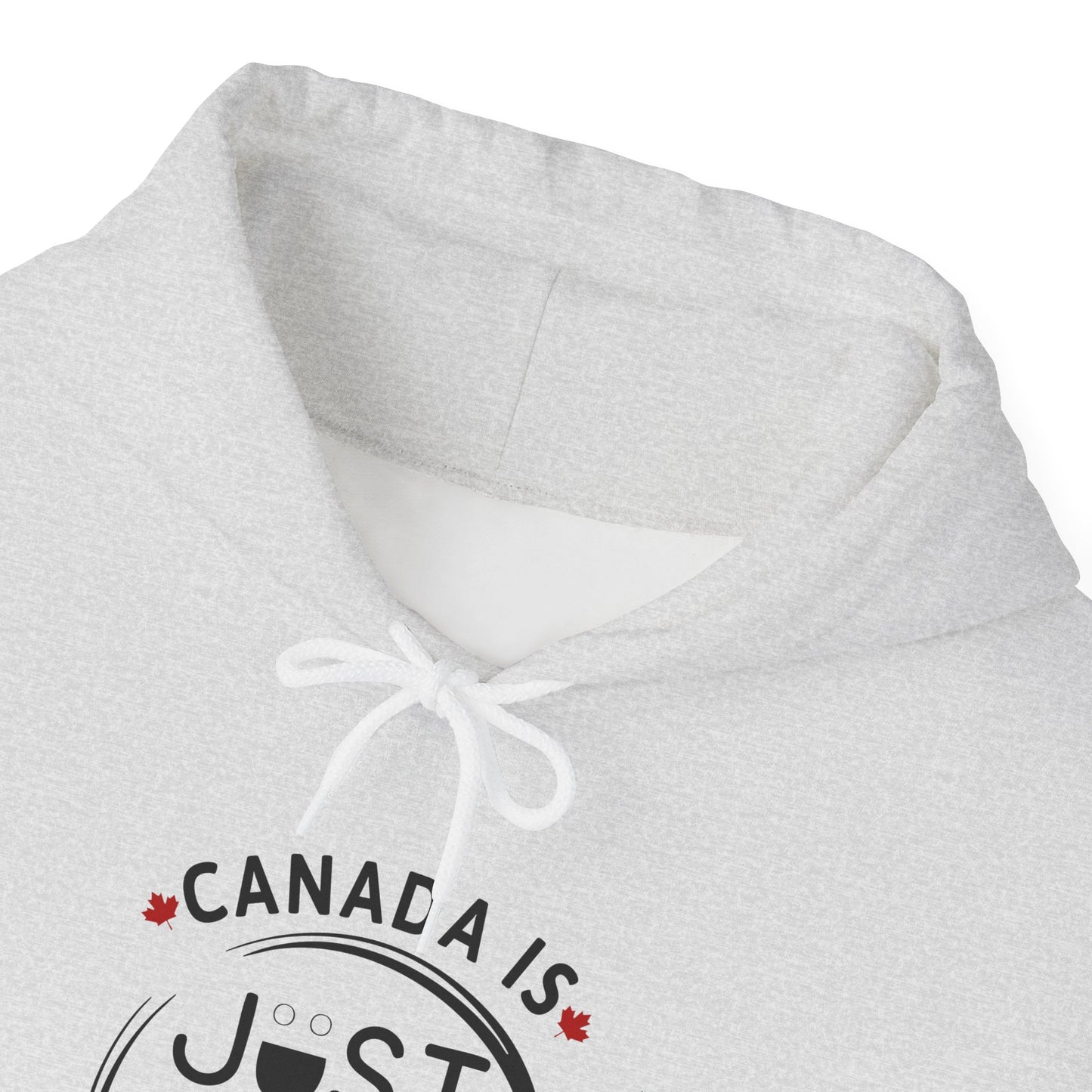 Canada Is Just Nice Hoodie - Unisex Heavy Blend™ Sweatshirt with Maple Leaf Design