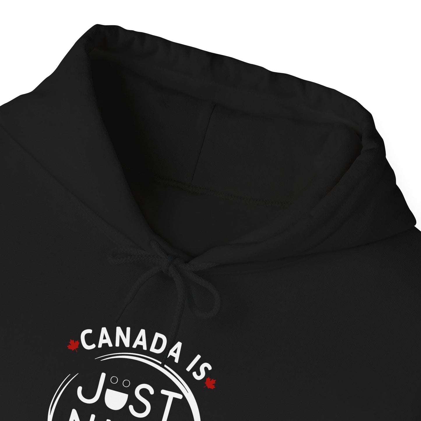 Canada Is Just Nice Hooded Sweatshirt | Unisex Cozy Pullover