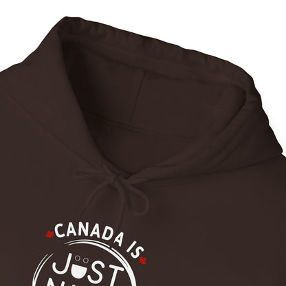 Canada Is Just Nice Hooded Sweatshirt | Unisex Cozy Pullover