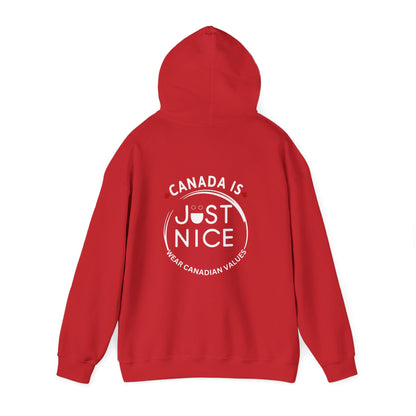 Colorful Sunset Graphic Hoodie, Cozy Sweatshirt for Outdoor Lovers, Unisex Gift, Casual Wear, Vacation Essentials