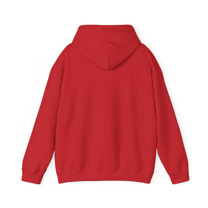 Cozy Canada Sweatshirt | Just Nice Hoodie | Unisex Pullover for Canadians | Gift for Friends | Perfect for Winter & Travel