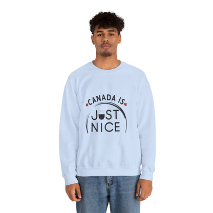 Canada Is Not Nasty Crewneck Sweatshirt - A Cozy Statement Piece for Proud Canadians