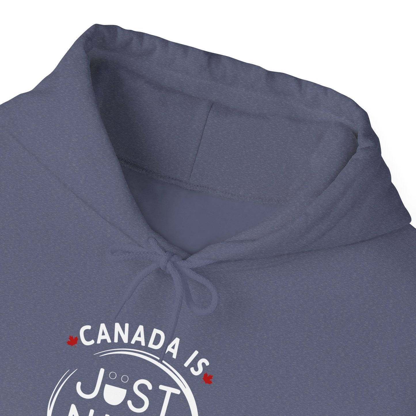 Canada Is Just Nice Hooded Sweatshirt | Unisex Cozy Pullover