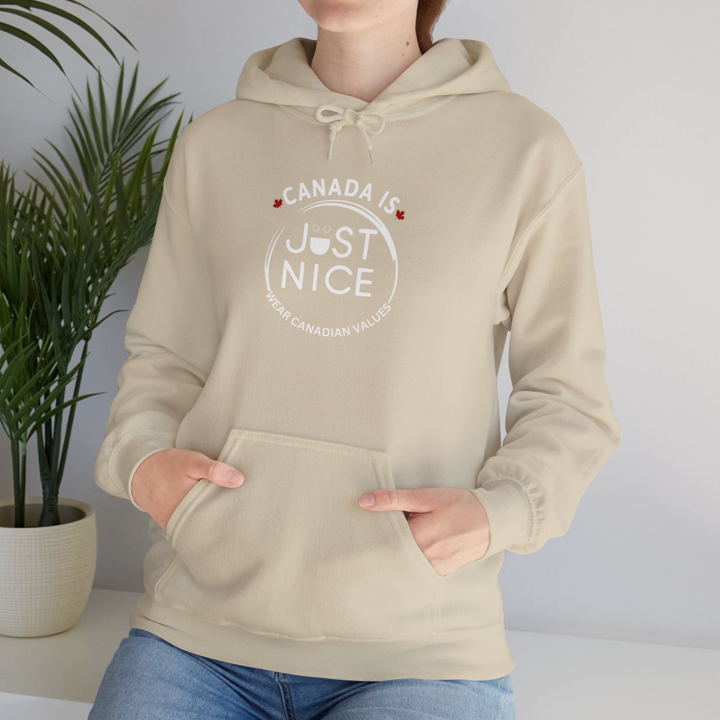 Canada Is Just Nice Hooded Sweatshirt | Unisex Cozy Pullover