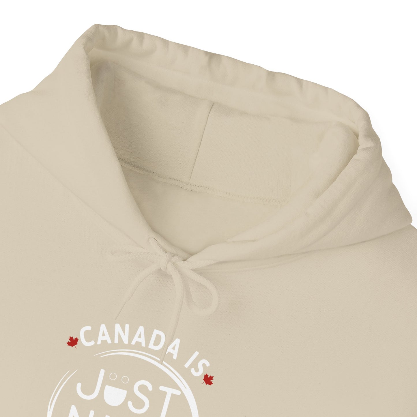 Canada Is Just Nice Hooded Sweatshirt | Unisex Cozy Pullover