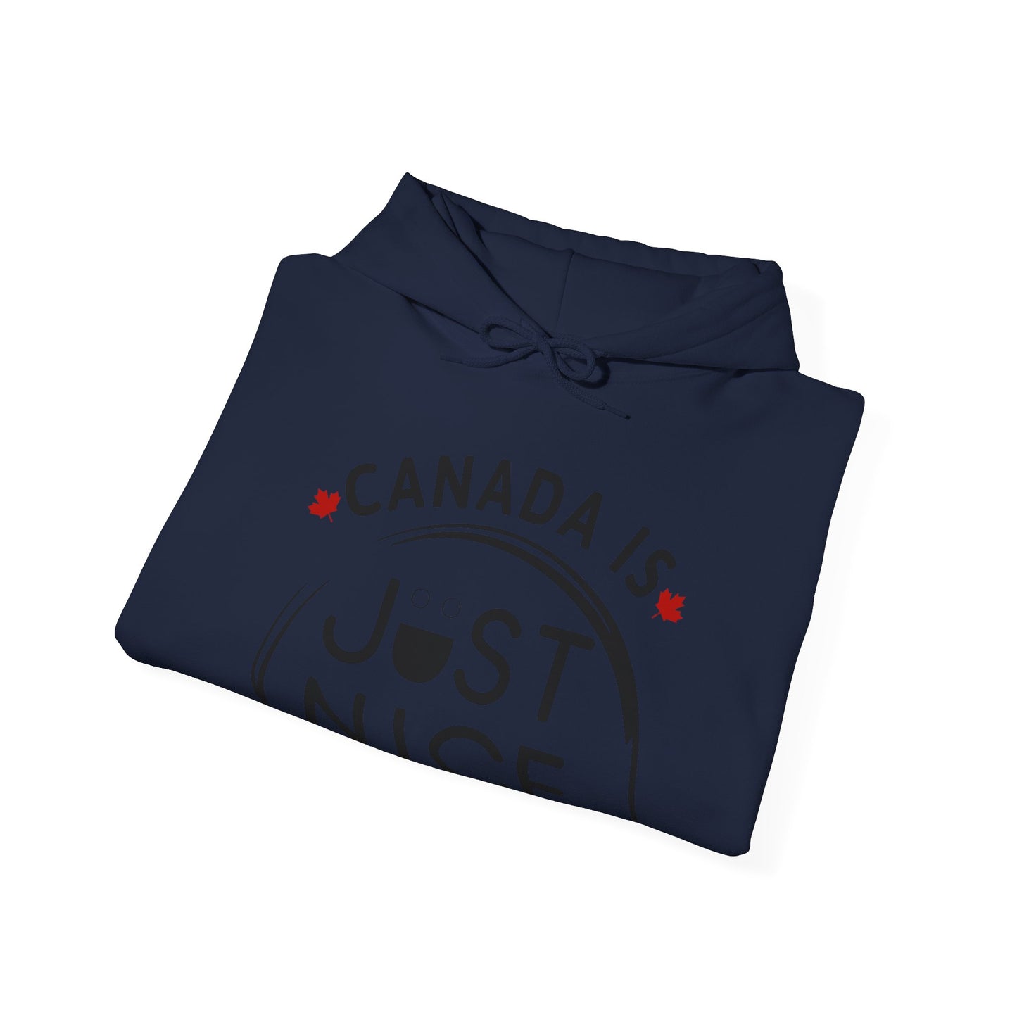Cozy Canada Sweatshirt | Just Nice Hoodie | Unisex Pullover for Canadians | Gift for Friends | Perfect for Winter & Travel